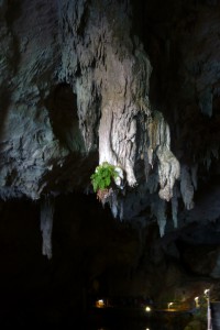 Italien, Sardinien - Grotte Bue Marino