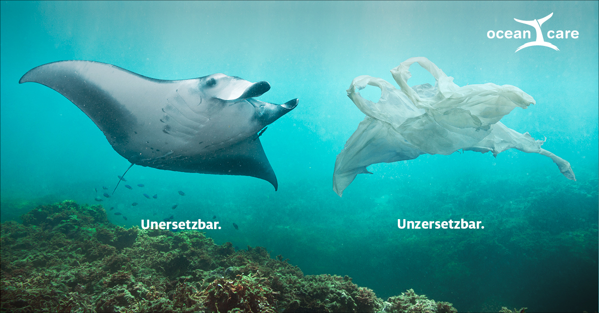 Oceancare Plastikkampagne - Seepferdchen