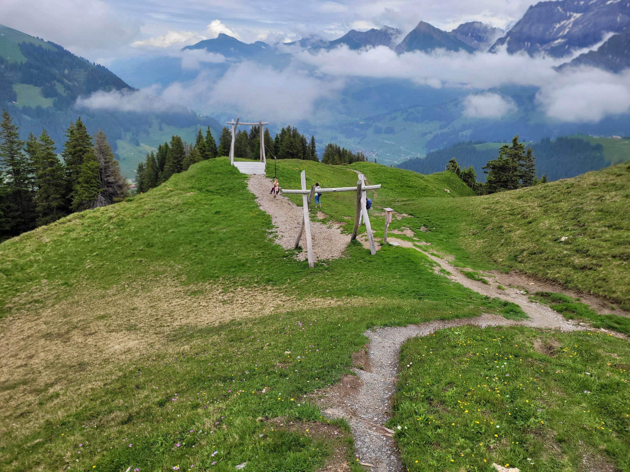 Vogel Lisi Weg Adelboden