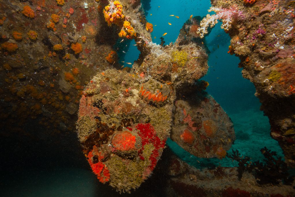 Schiffsschraube MV Kudahina Wrack, Scubaspa, Malediven