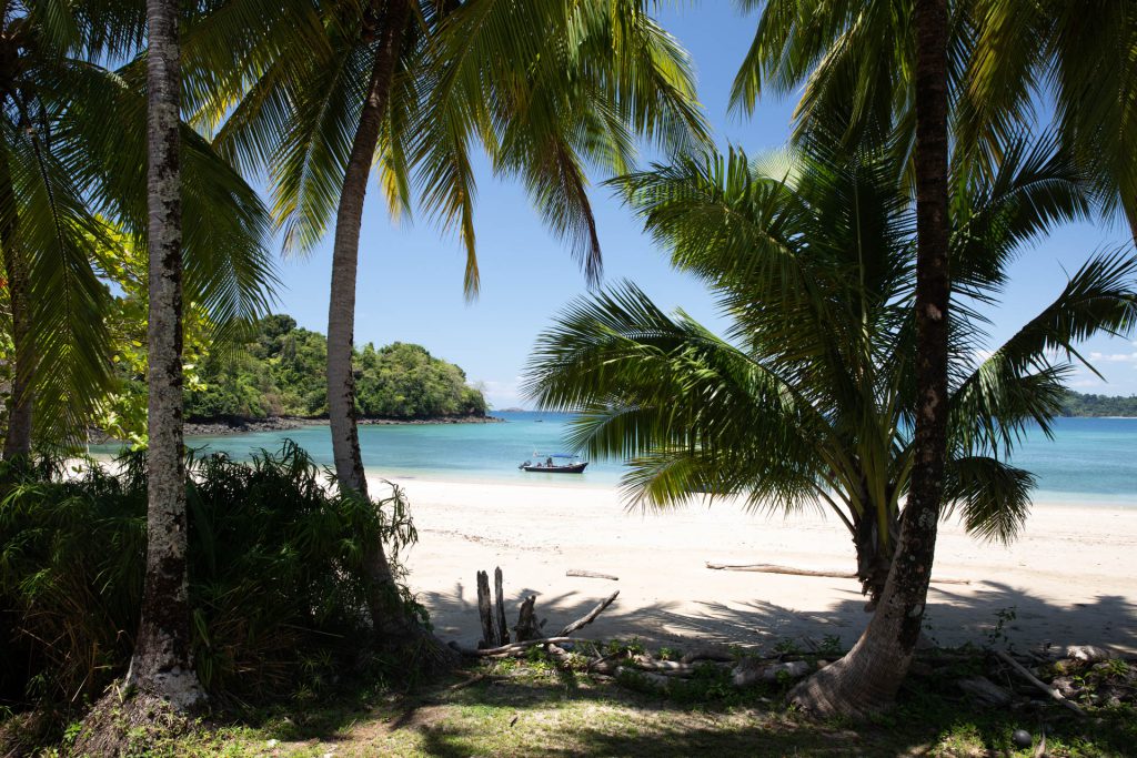 Palmen am Strand der Insel Coiba, Coiba Nationalpark, Panama, Pazifik