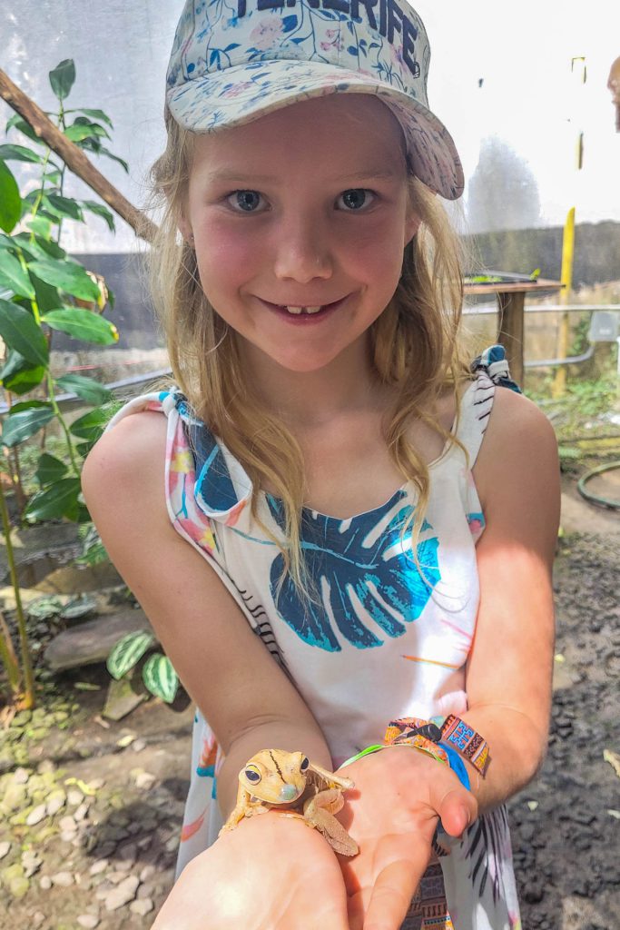 Milena mit einem Frosch auf dem Arm, Summit Rainforest Resort, Panama