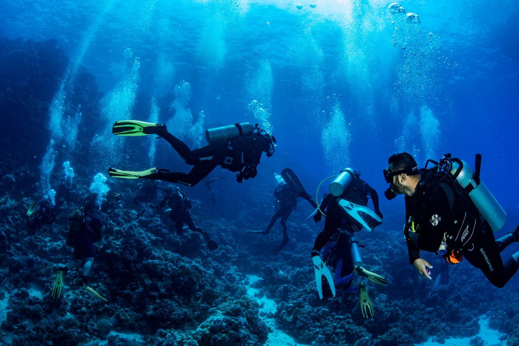 Chaotische Tauchertruppe, Rotes Meer, Orca Dive Club Soma Bay, Ägypten