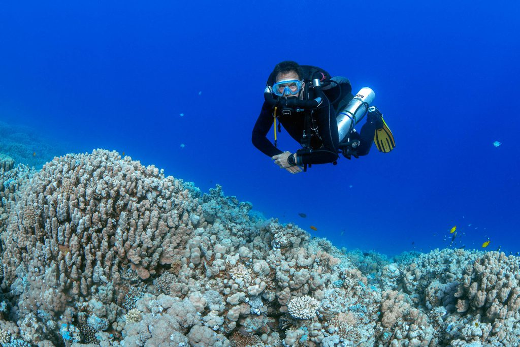 Rebreather Tauchgang, Try Horizon, Mares, Rotes Meer, Orca Dive Club Soma Bay, Ägypten