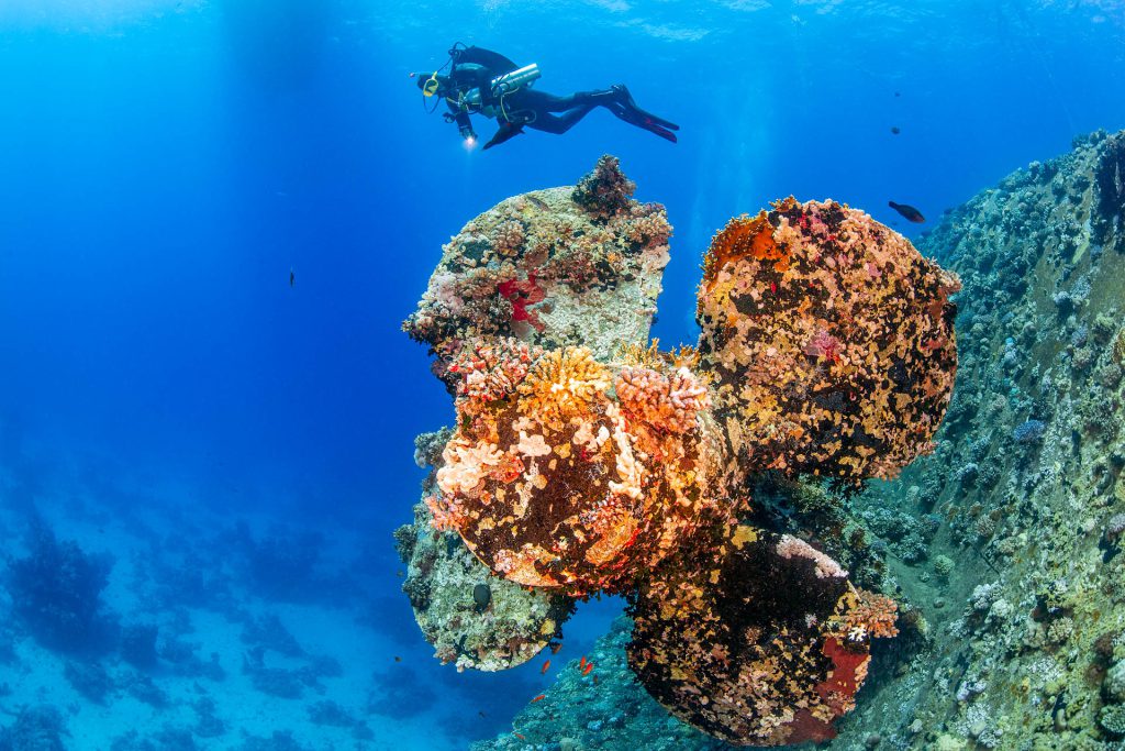 Schiffsschrauber Salem Express Wrack, Rotes Meer, Orca Dive Club Soma Bay, Ägypten