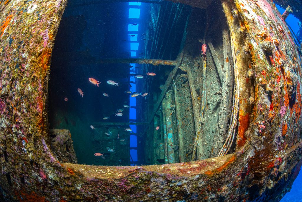 Kapitänsbrücke, Salem Express Wrack, Rotes Meer, Orca Dive Club Soma Bay, Ägypten