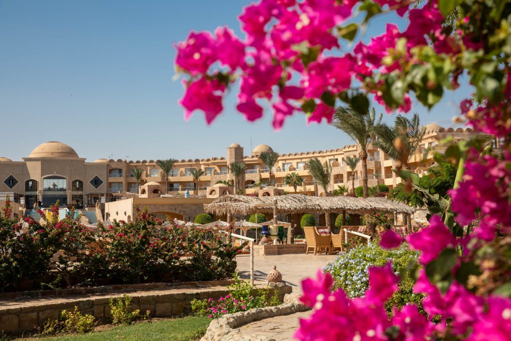 Utopia Beach Club, El Quseir, Ägypten - mangenta blühende Bougainvillea