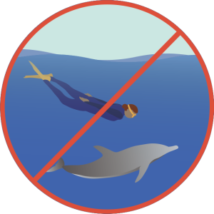 DWA Code of Conduct für Schwimmer - nicht zu Delfinen tauchen