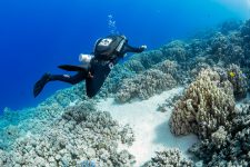 Try Horizon - Rebreather Tauchen, Orca Dive Club Somabay, Ägypten